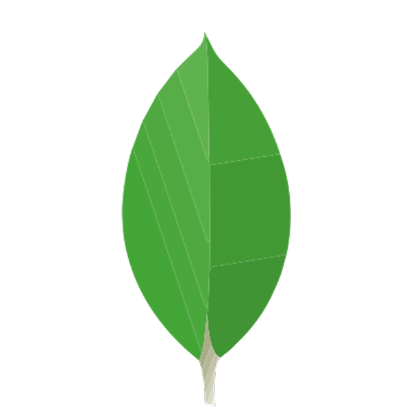MongoDB
