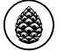 Pinecone